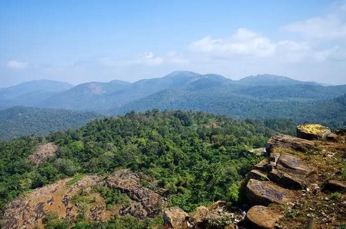 Biligiriranga hills