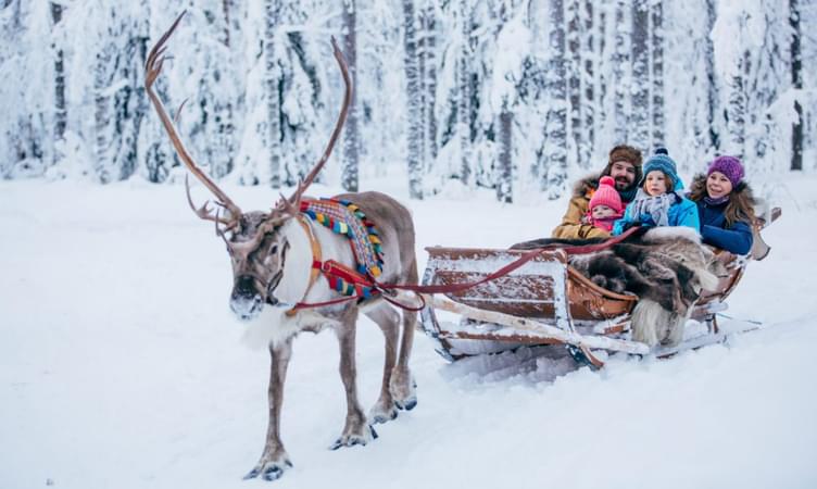 Get a Dream Ride with Santa's Reindeer in Finland