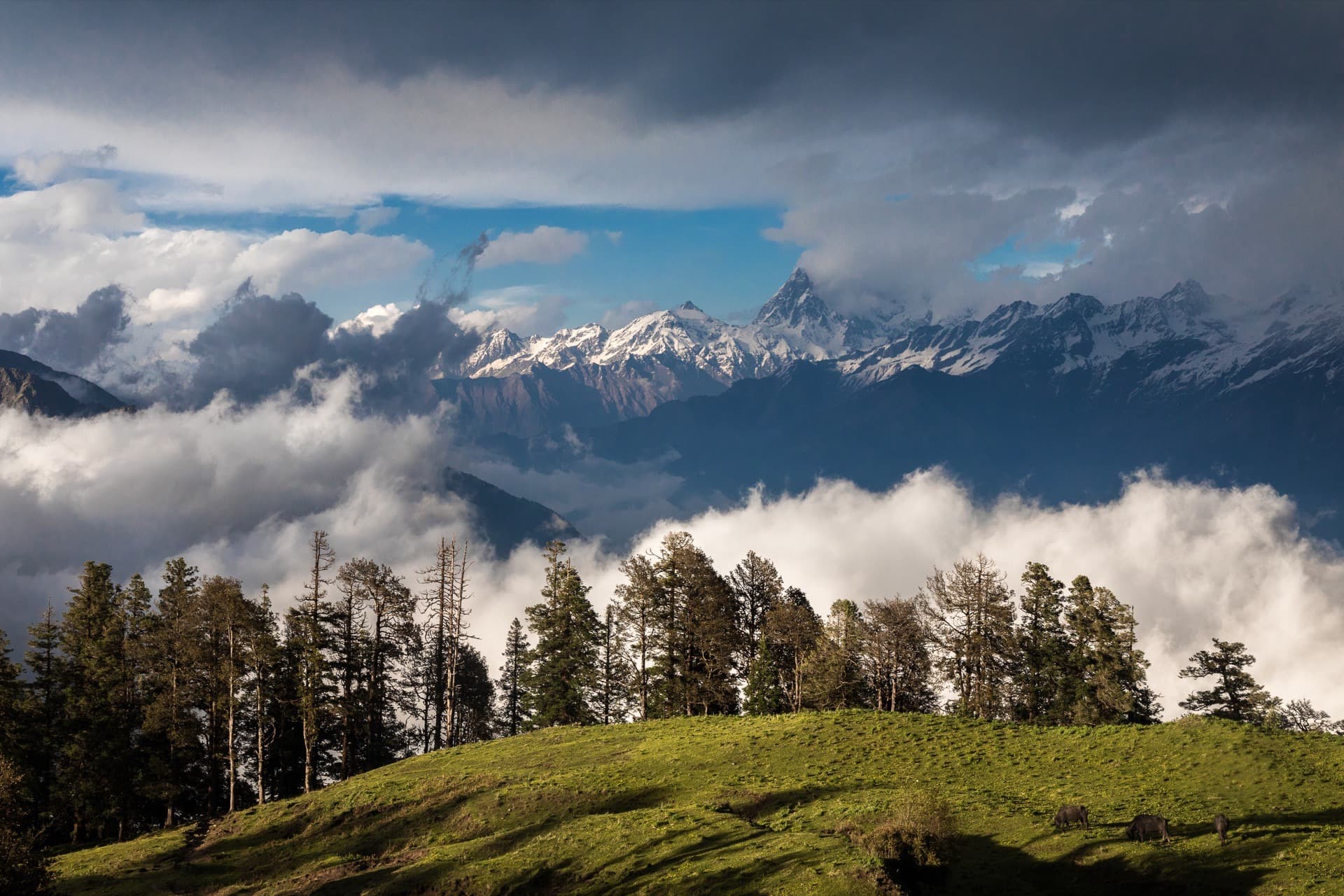 20 Best Places to Visit in Uttarakhand in December - {{year}}