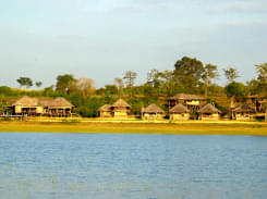 Luxurious Stay at the Bison in Kabini @ 31% off