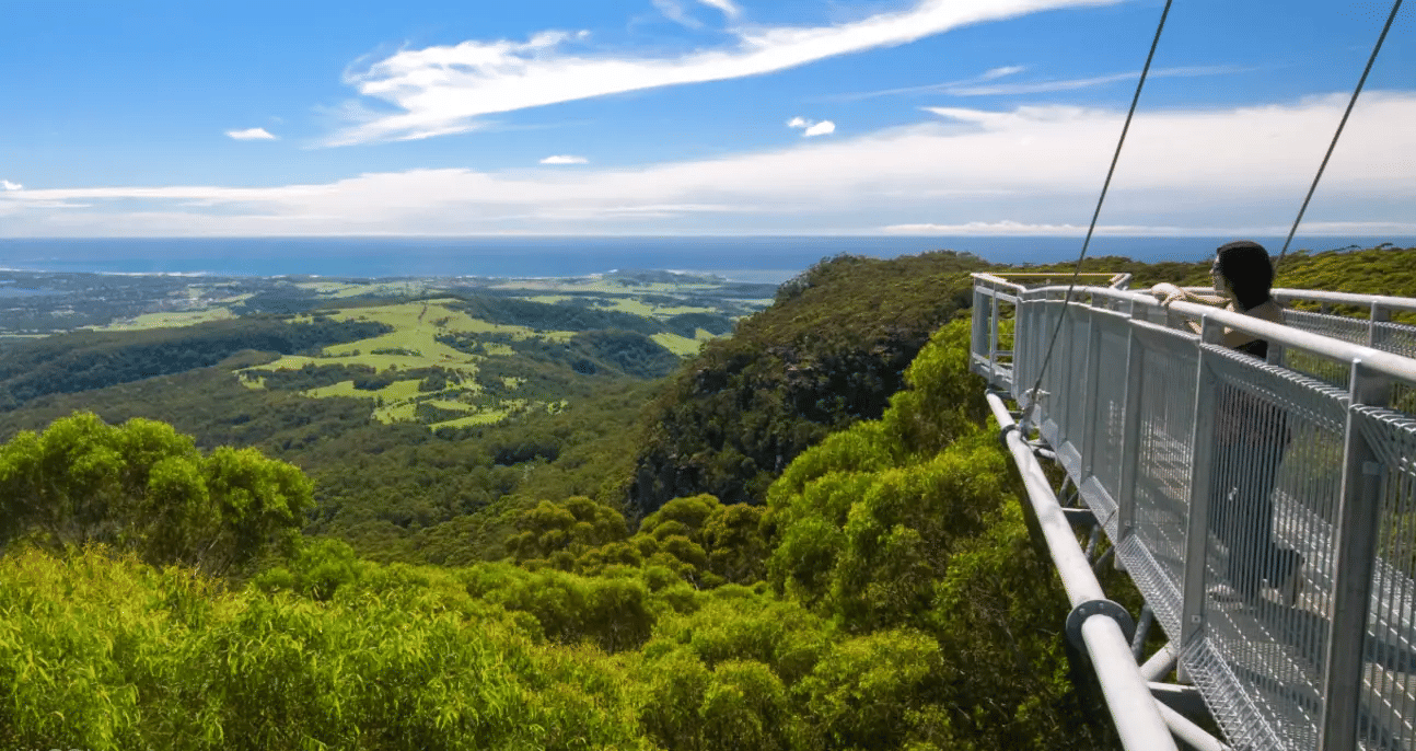 Illawarra Tree Top Walk Tickets | Book Now