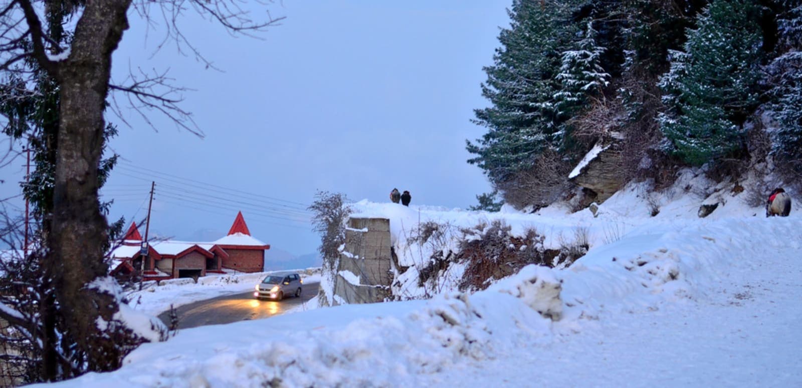 Kufri - (612 Km from Agra)