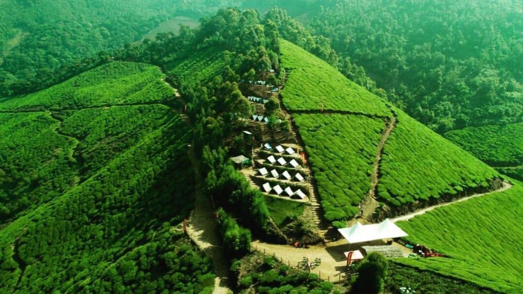 Offbeat Camping in Munnar