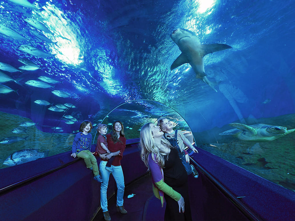 The Aquarium of Western Australia, Buy Now @ Flat 15% off