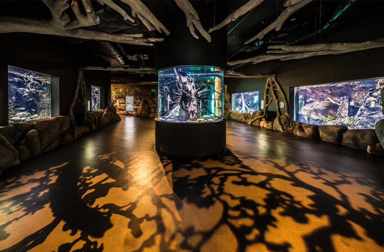 Cairns Aquarium Tickets, Book Now @ Flat 13% off