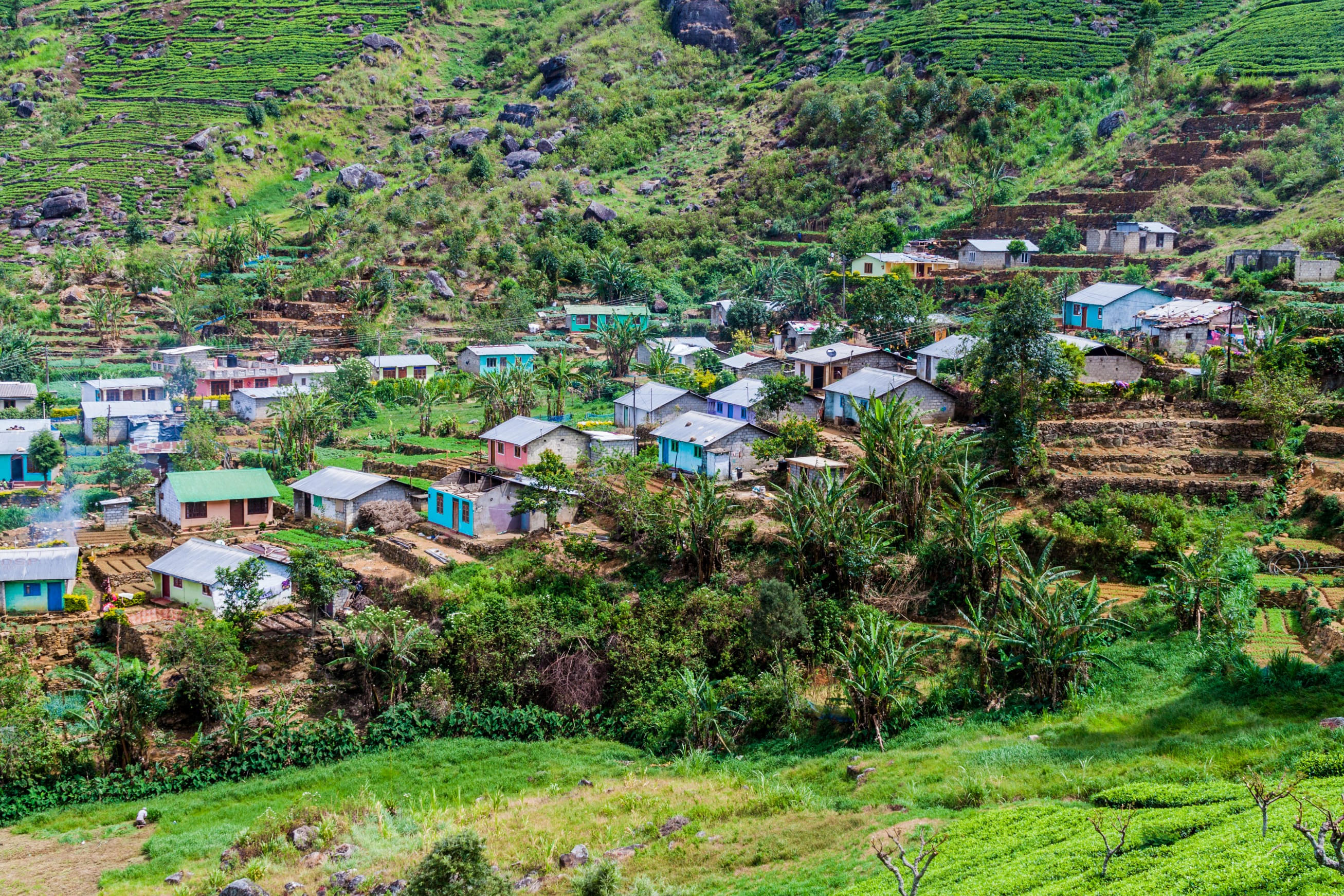 Ella Hike | Village Trekking Experience | Flat 16% off