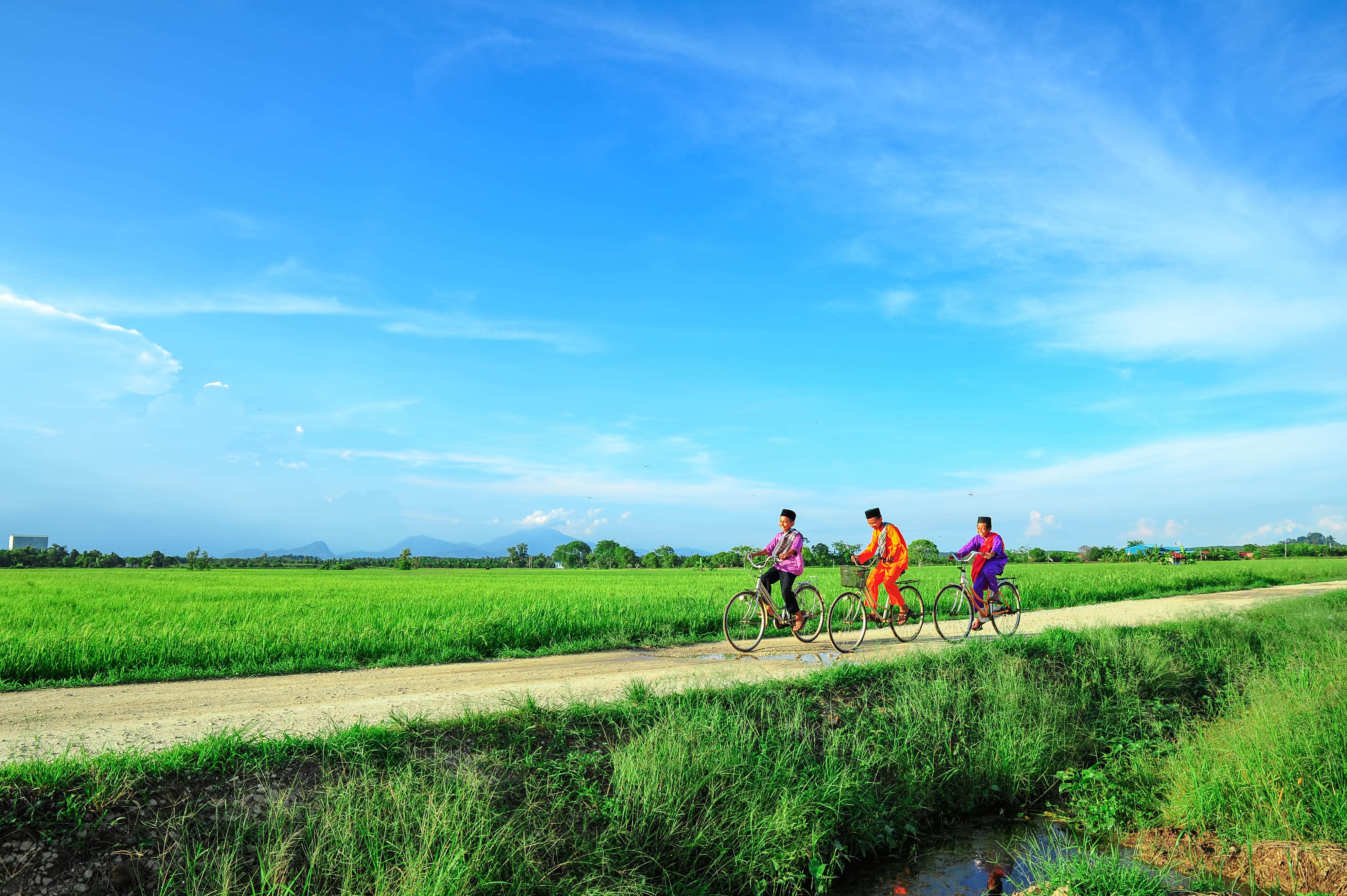 Ella Day Tours | Village Cycling Experience | Flat 15% off