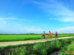 Ella Day Tours | Village Cycling Experience | Flat 15% off