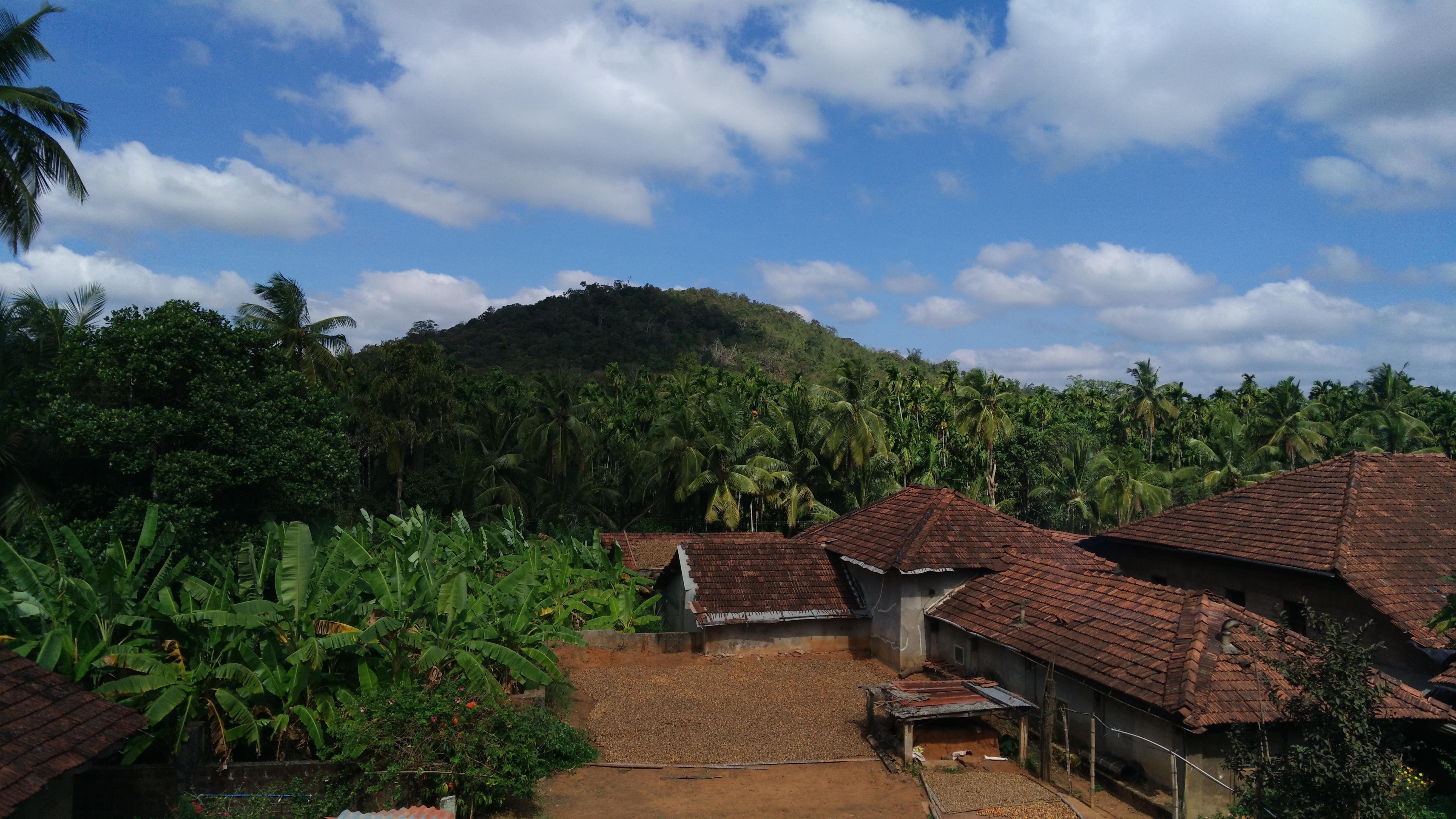 1573728386 shutterstock 687455647