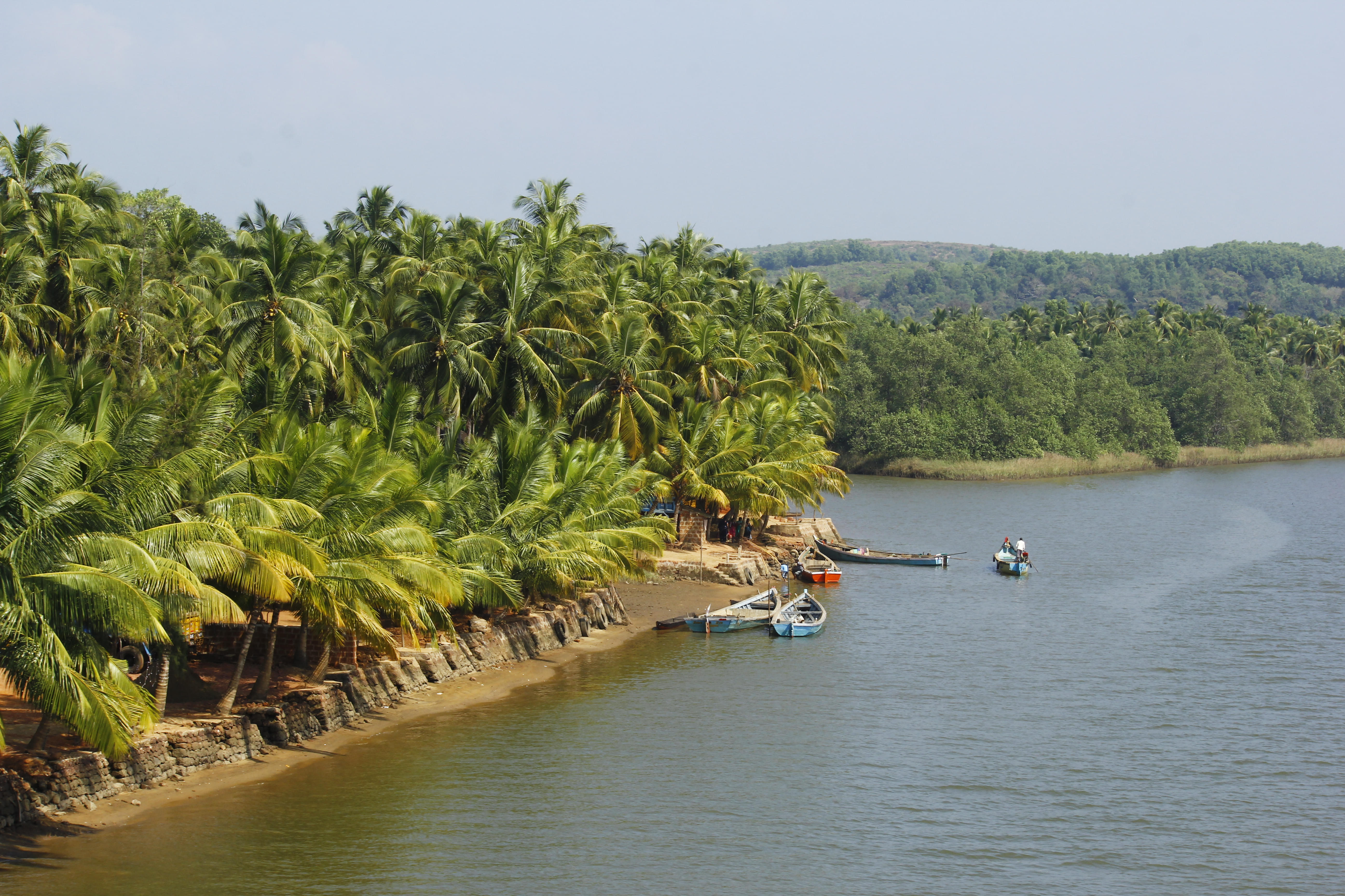 1573729054 shutterstock 1469088200