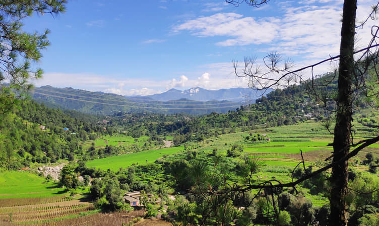 1587111086 chail