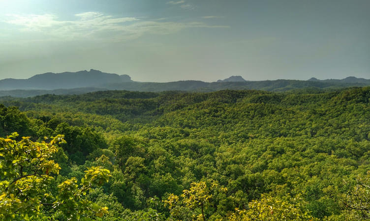  Places to Visit in Pachmarhi, Tourist Places & Attractions