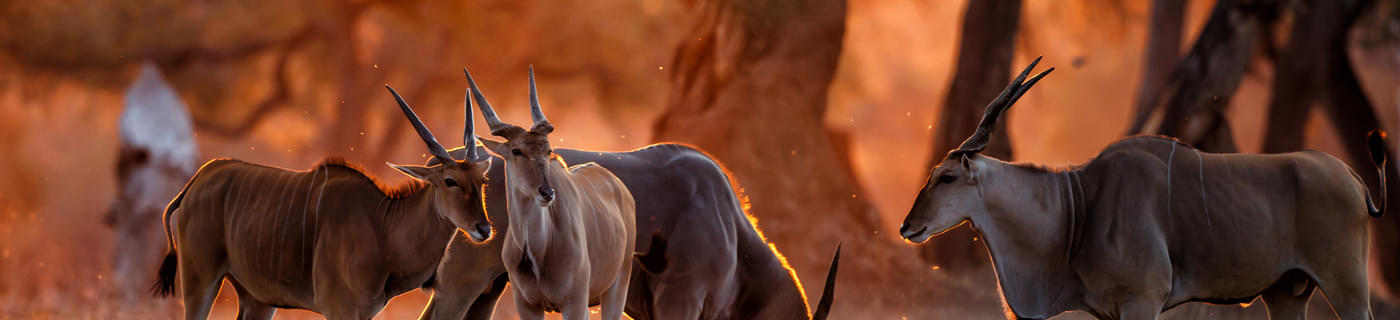 30 Places to Visit in Zimbabwe, Tourist Places & Top Attractions