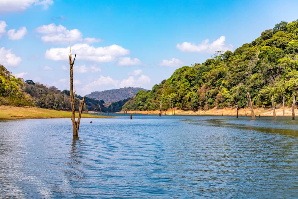 1573827229 shutterstock 1512340298