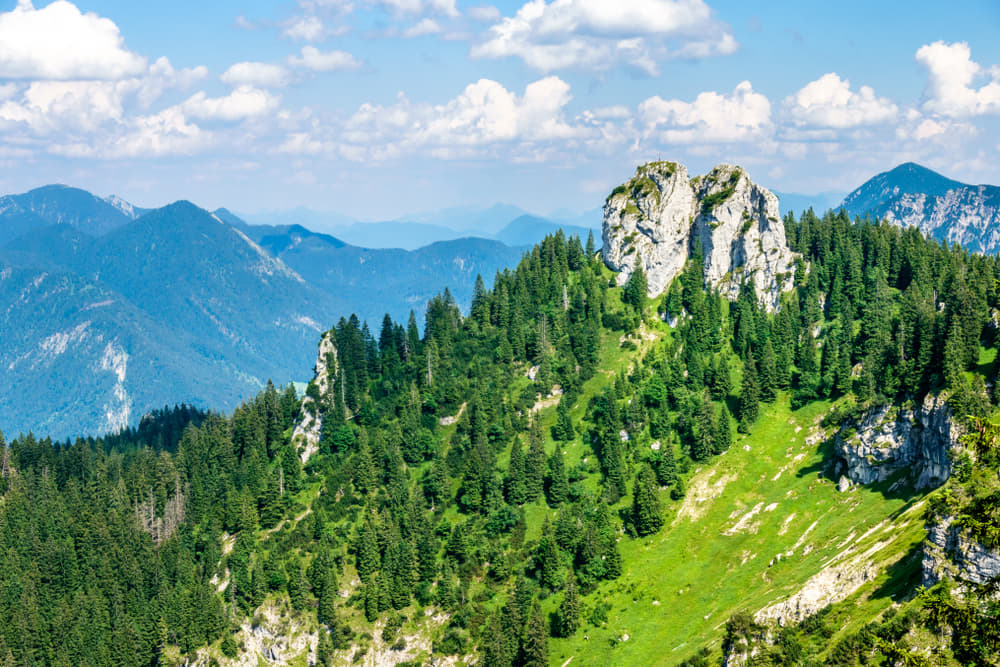 1573828454 shutterstock 1140537071