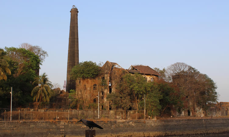 Mukesh Mill