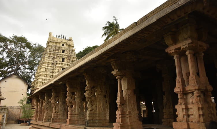 1573888355 shutterstock 1140879233