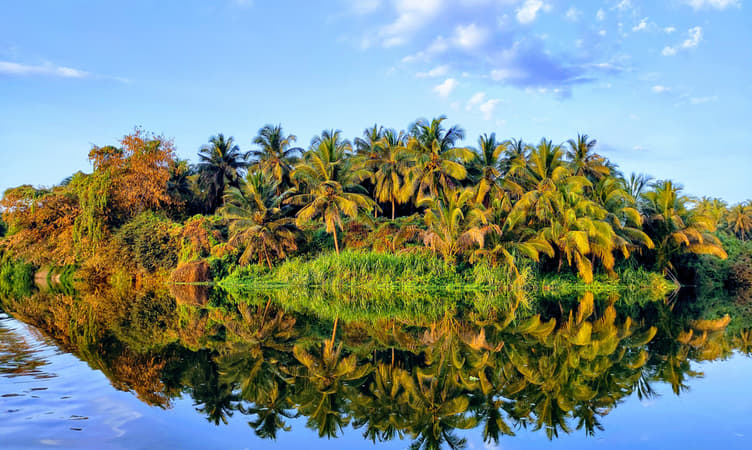 1597145381 shutterstock 1691879317