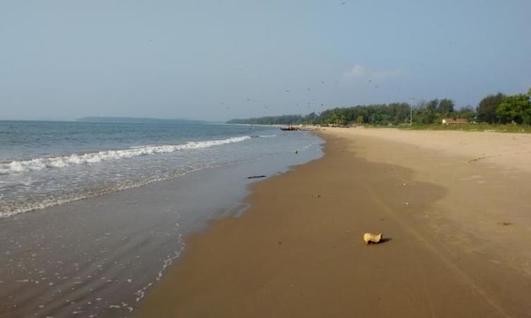 Alibag Beach (143 Km From Pune)