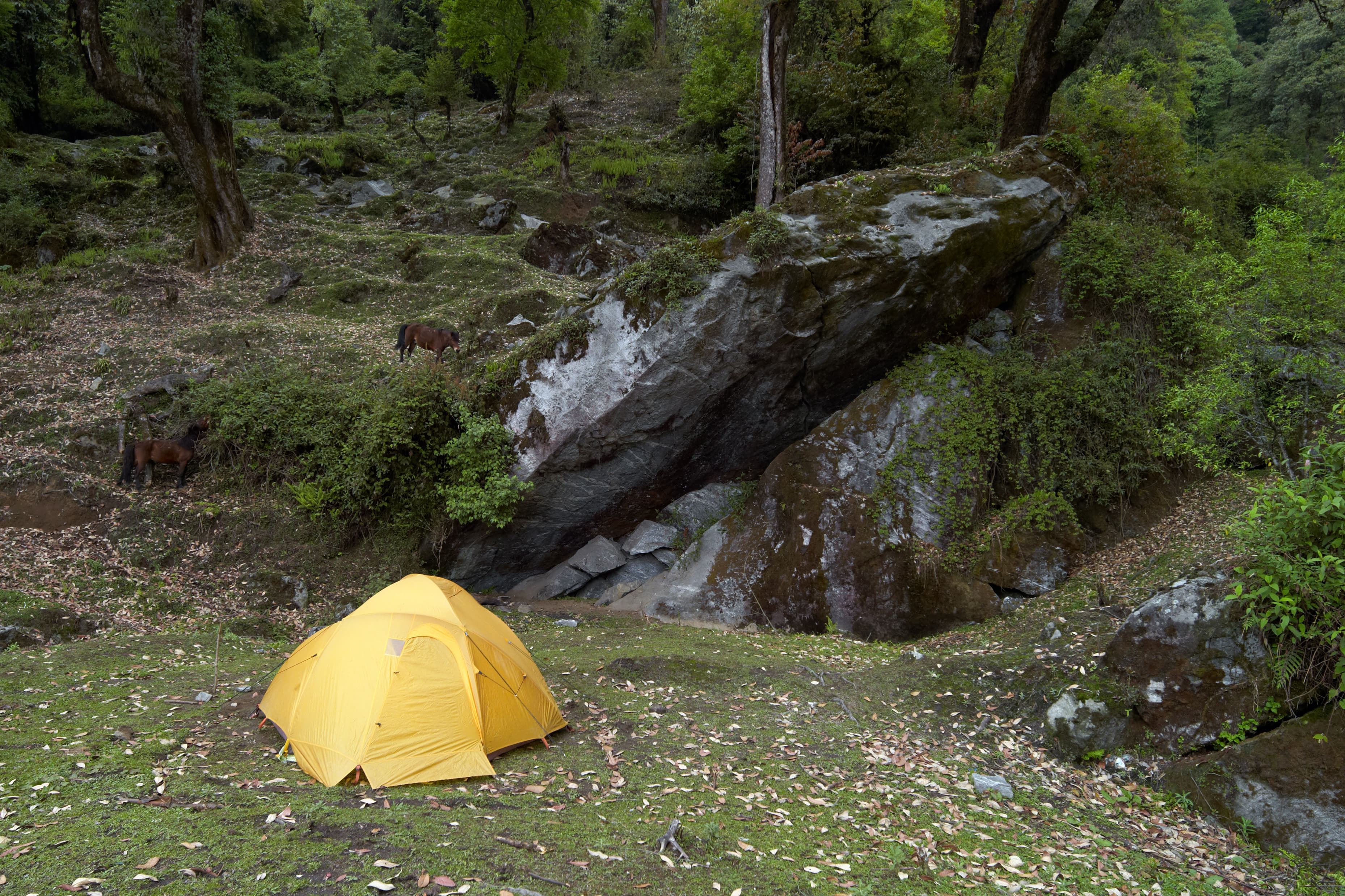 1574229840 shutterstock 55452394