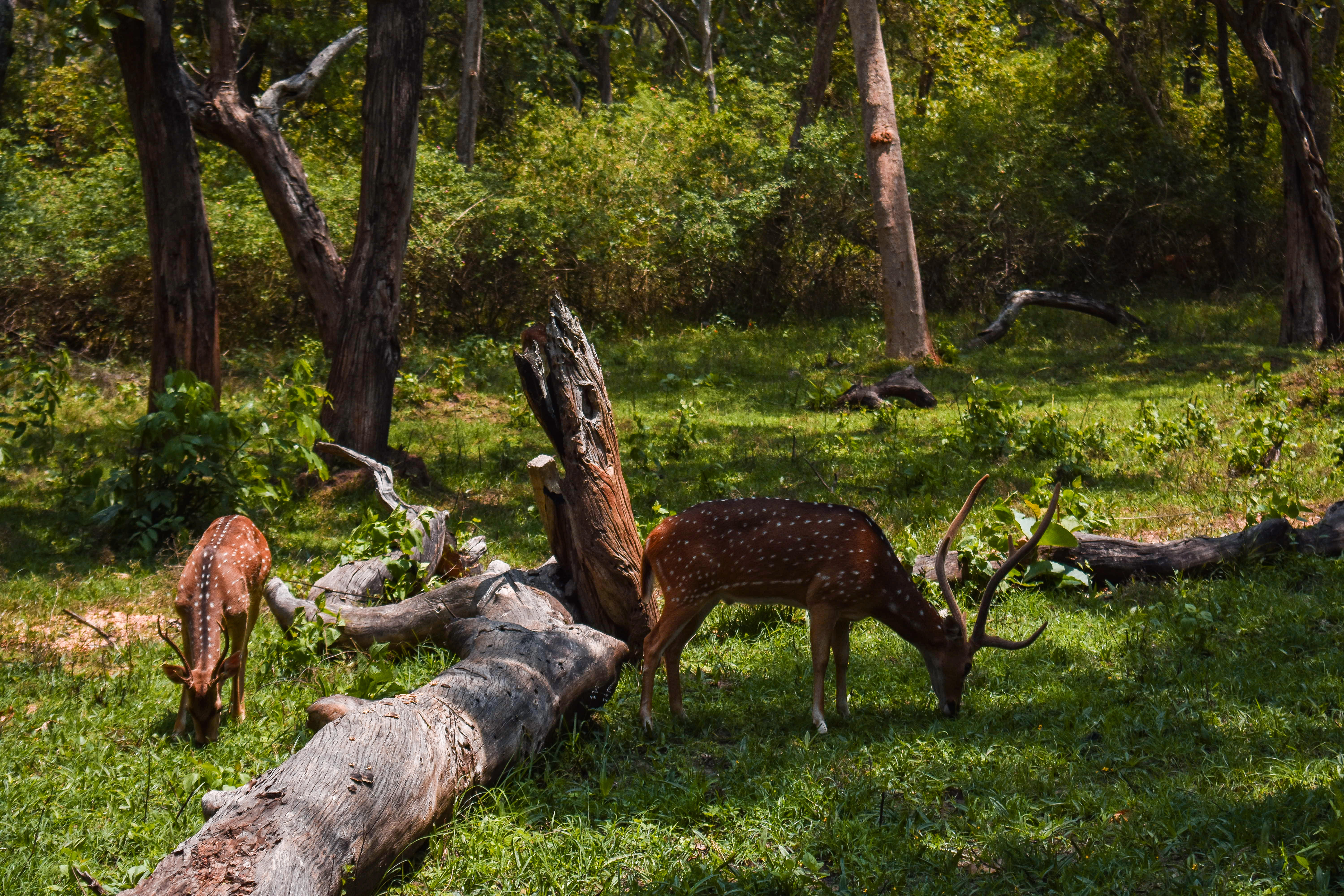 1574232882 shutterstock 1410512228