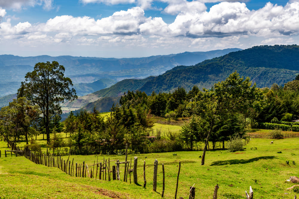 1574511928 shutterstock 1055618864