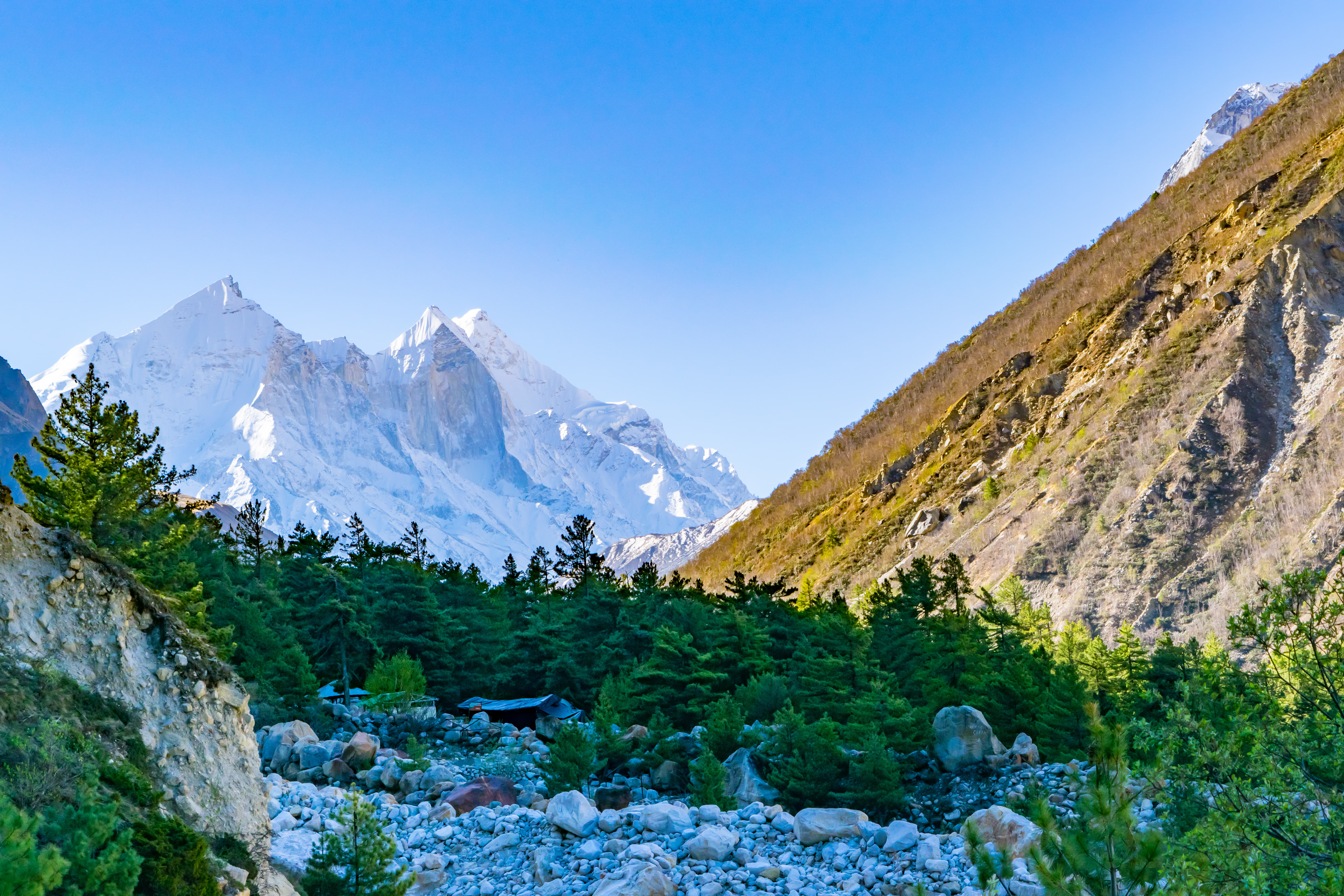 1574317787 shutterstock 643979152 (1)