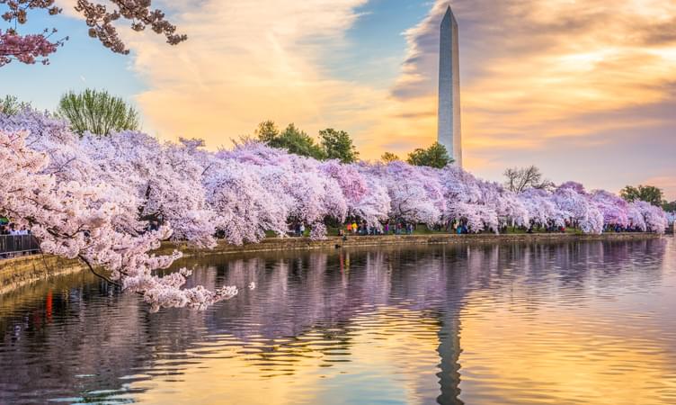 best cities to visit new york Washington D.C.