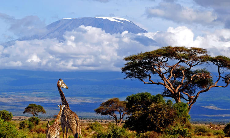  Tanzania  Tour Packages
