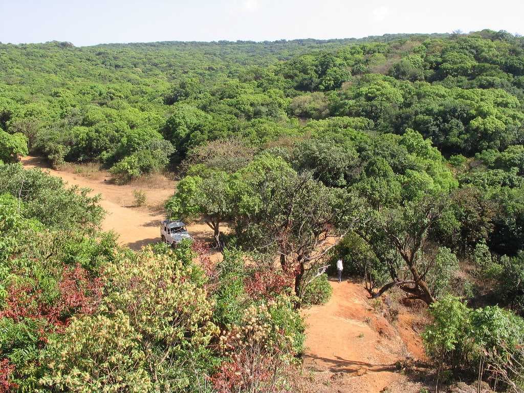 Dajipur (310.3 Km from Pune)