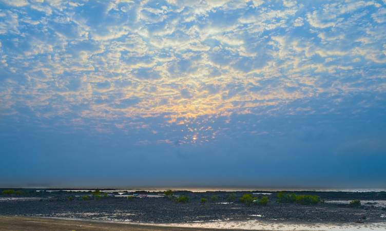 Manori Beach (19 km from Mumbai)