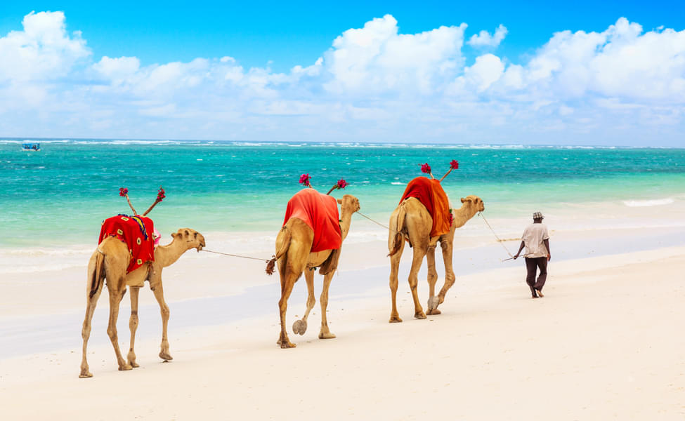 10 Places to Visit in Mombasa, Tourist Places & Top Attractions