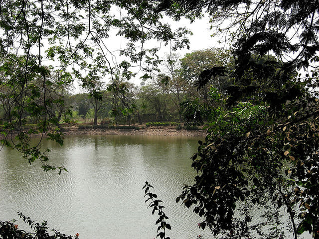 Enjoy at Chhota Kashmir