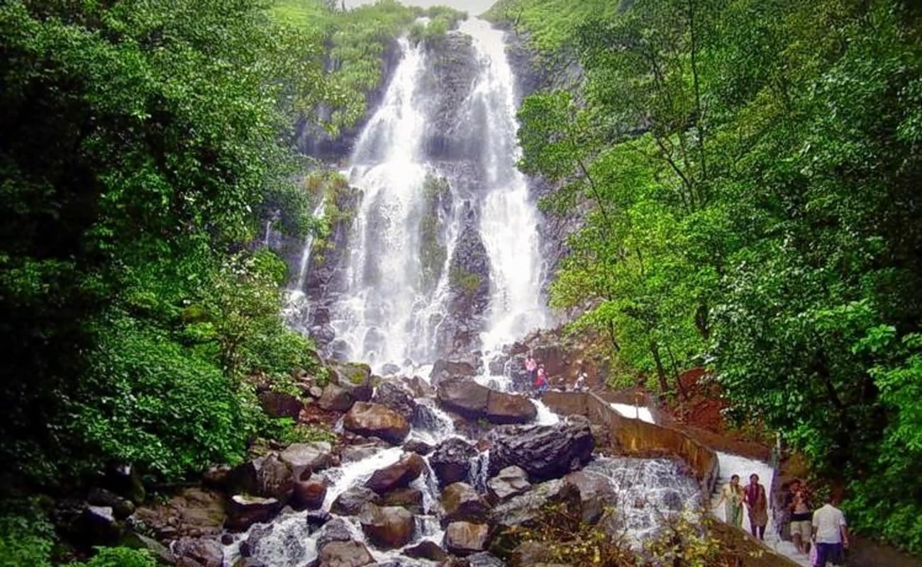 Amboli (489 Km From Mumbai)