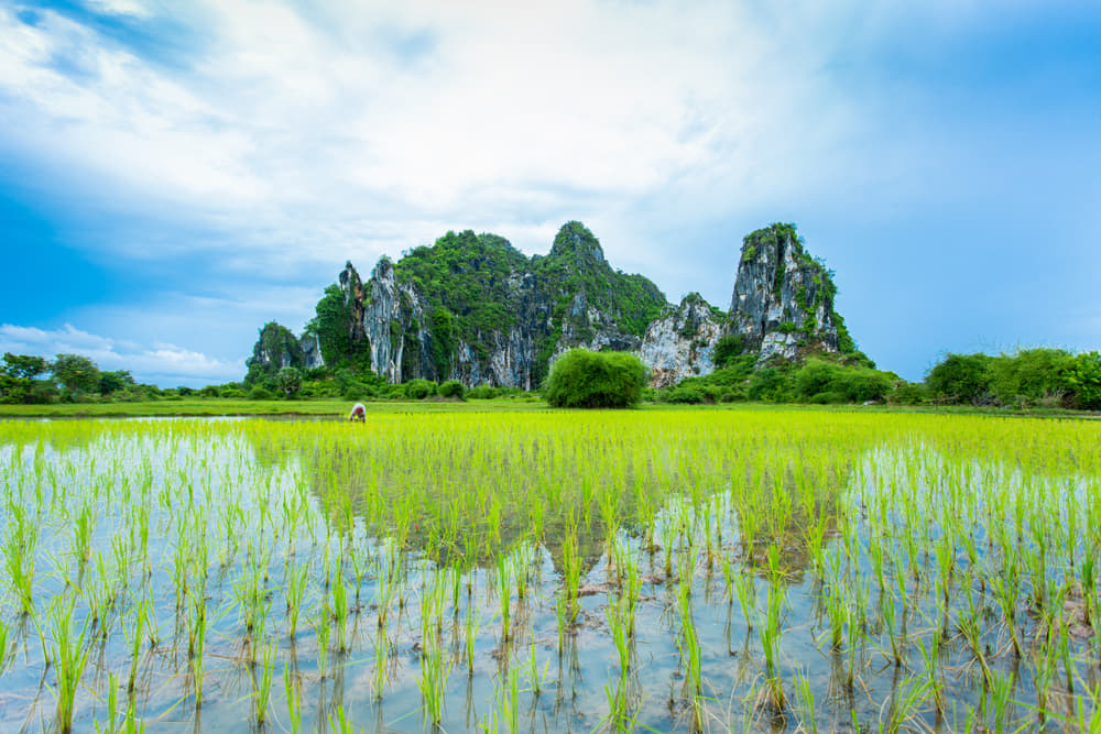 1575351982 shutterstock 1520036390