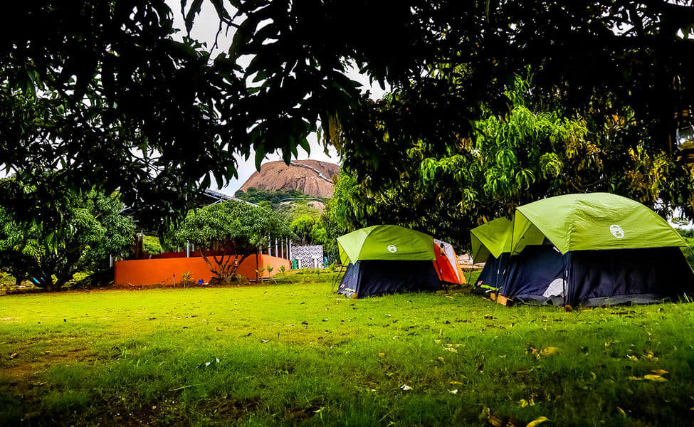 Q Mango Forest Adventure Camp | Book @ Flat 43% off