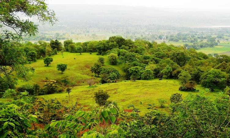 Ananthagiri Hills (82km from Hyderabad)