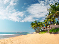 One Day Trip to Galle from Colombo, Book @ Flat 10% off