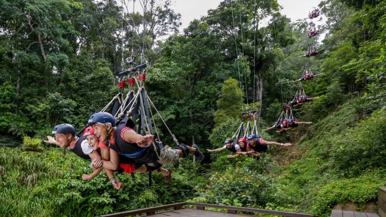Giant Jungle Swing Cairns Experience, Book Now @ Flat 29% off