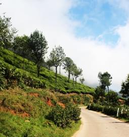 15 Hill Stations near Mysore: {{year}} Updated
