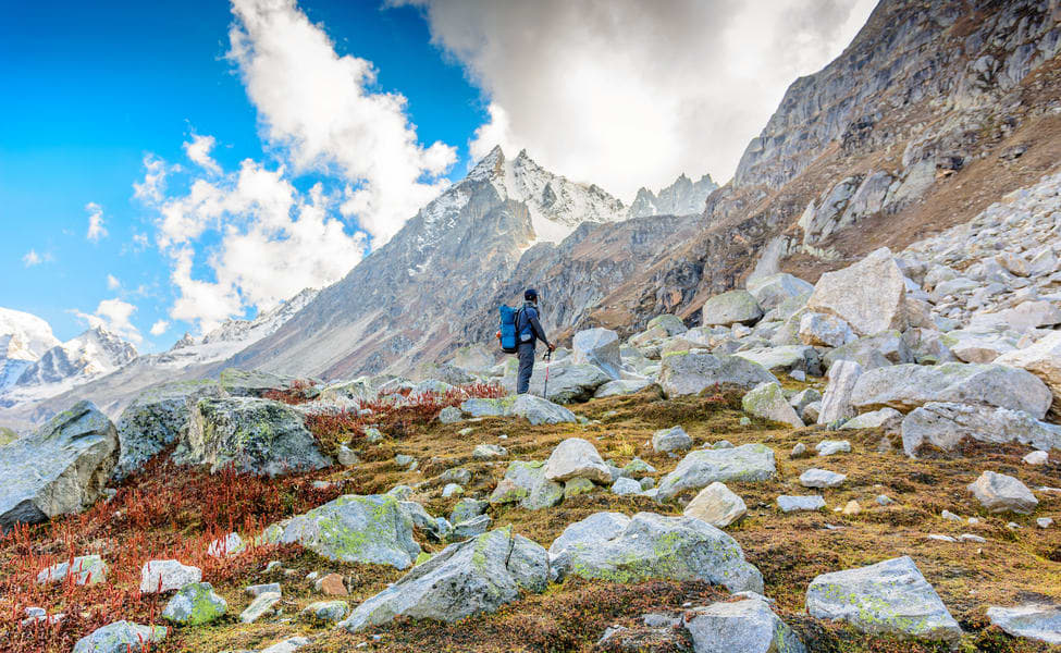 How to reach Kedarkantha from Delhi by Rail