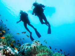 Scuba Diving in Mauritius, Book Now @ Flat 18% off