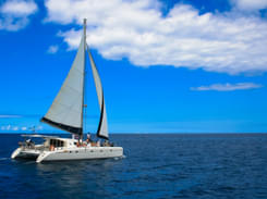 Catamaran Cruise to Ile Aux Cerfs in Mauritius, Book @ Flat 20% off