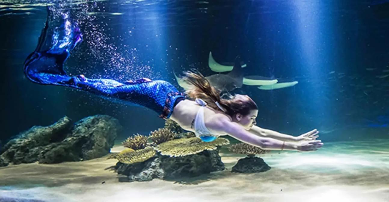 63 Building Seoul Aquarium Tickets | Book @ Flat 18% off