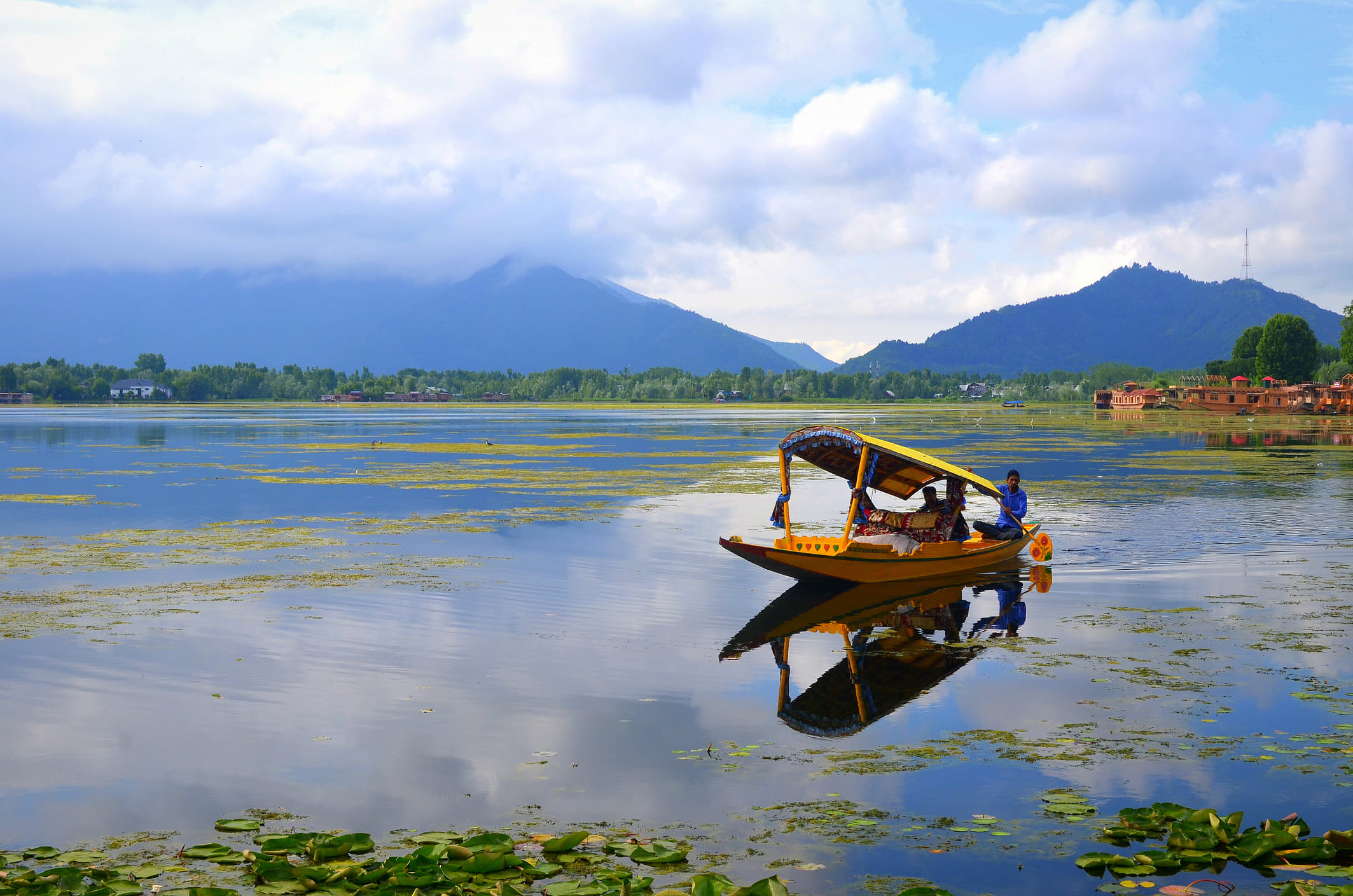 20 Places to Visit Near Jammu That Are Perfect for a Getaway!