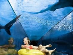 Lost Chambers Aquarium Dubai Ticket: Flat 10% off