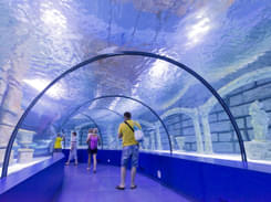 Aquarium in Antalya Ticket: Flat 13% off