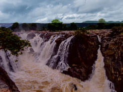 Day Tour Coimbatore to Hogenakkal Waterfalls