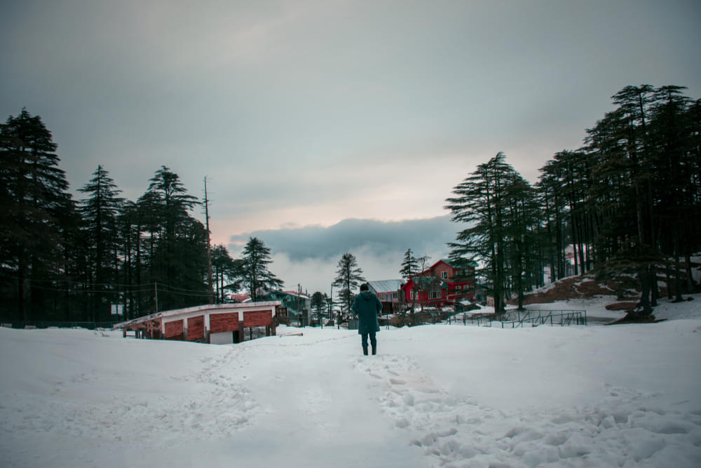 Jammu Sightseeing Tour