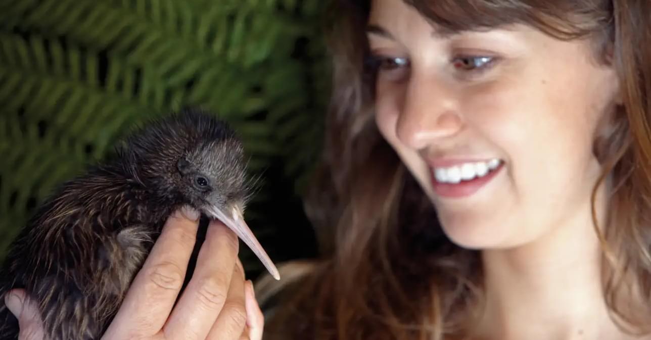 Rainbow Springs Nature Park Tickets, Book Now @ Flat 12% off